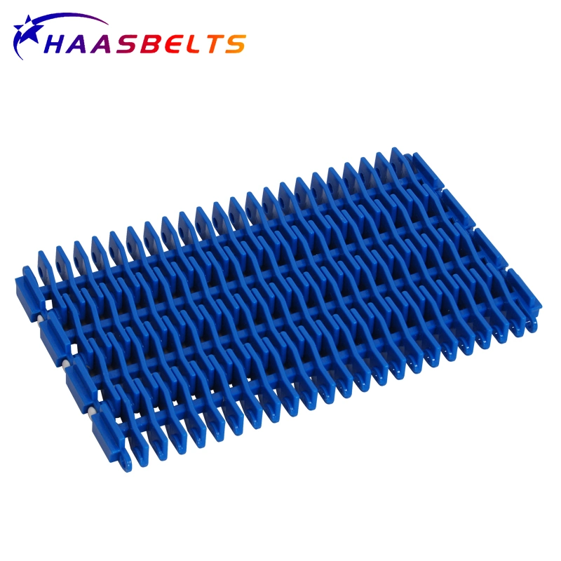 Haasbelts Chains Flat Friction Top 900 Plastic Modular Belt