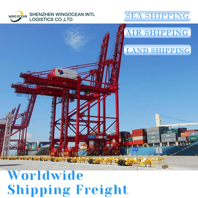 Reliable Excellent China DDP Sea Shipping Door to Door Delivery Logistics Freight Forwarder Shipping From China to UK/ Germany/ France