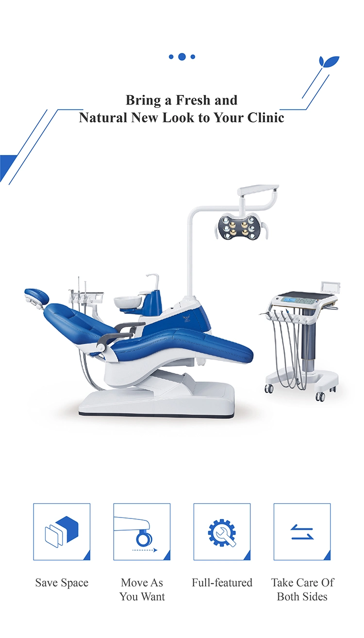 Cadeira Dental aprovada pela CE, móveis sem base/Dennest/todos os instrumentos Dental