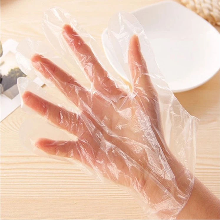 Food Grade Plastic PE /CPE/TPE Disposable Gloves Safety Gloves for Food Factory