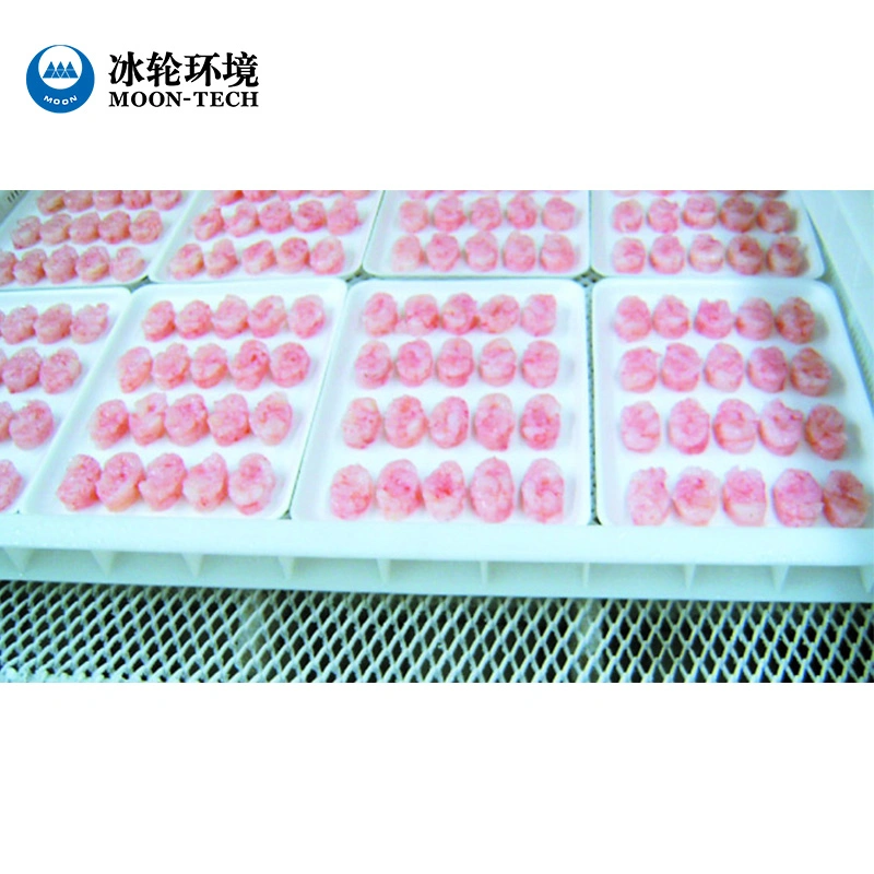 Cold Storage Manufacturer Low Price High quality/High cost performance  Mini Frozen Cold Storage/Cold Room for Meat and Fish