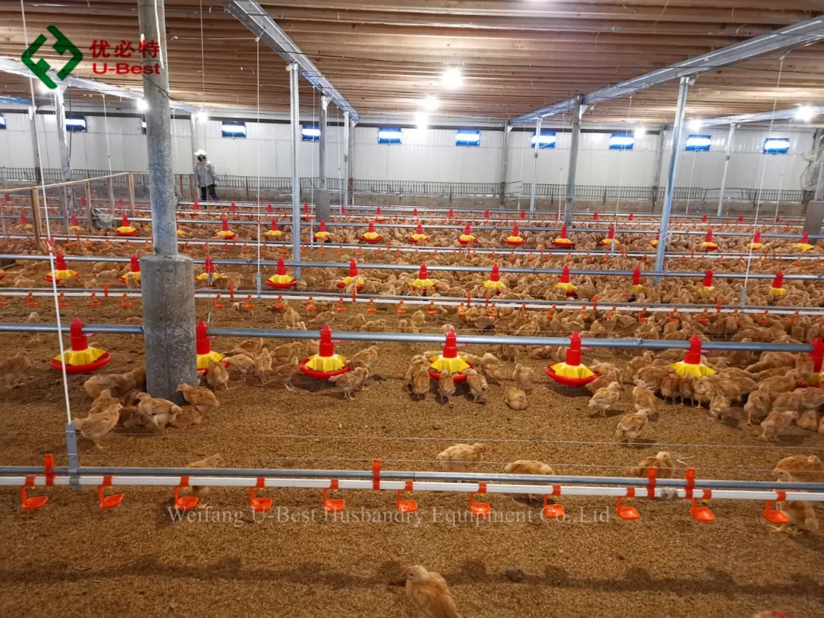 Chicken Shed Equipment Automatic Poultry Drinking System with Double-Sealing Nipples