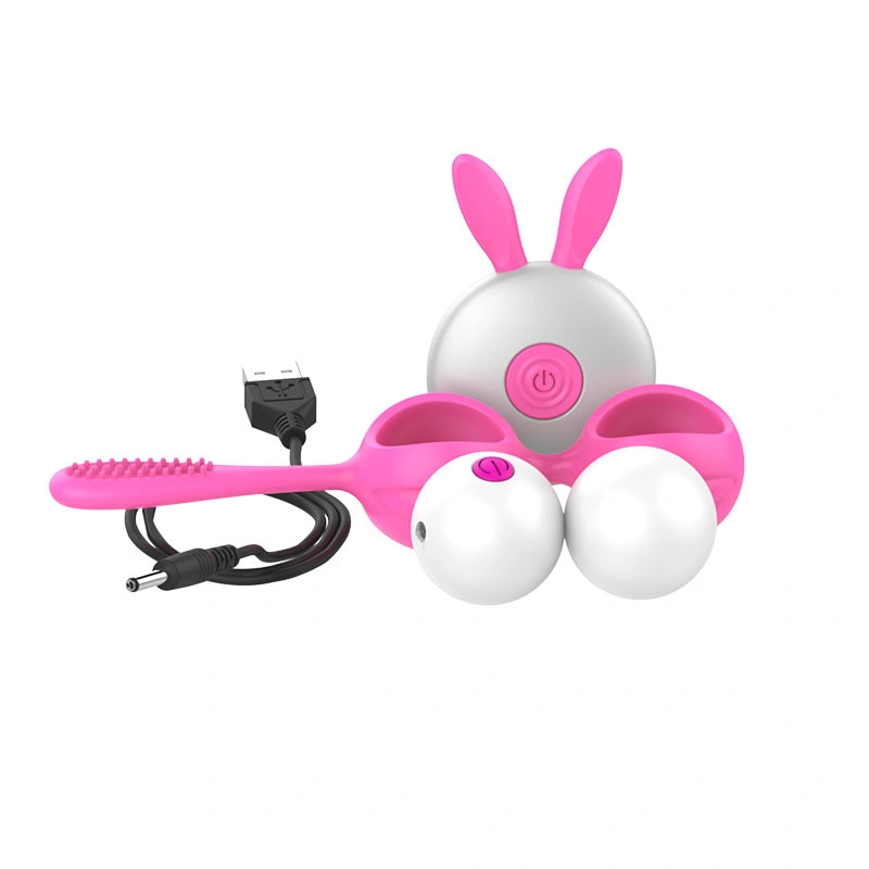 Vaginal Balls Smart Kegel Ball Vagina Vibrator 12 Geschwindigkeiten Wireless Fernbedienung Straffen Übung Sex Toys für Frauen 12 Geschwindigkeiten Kegel Ball