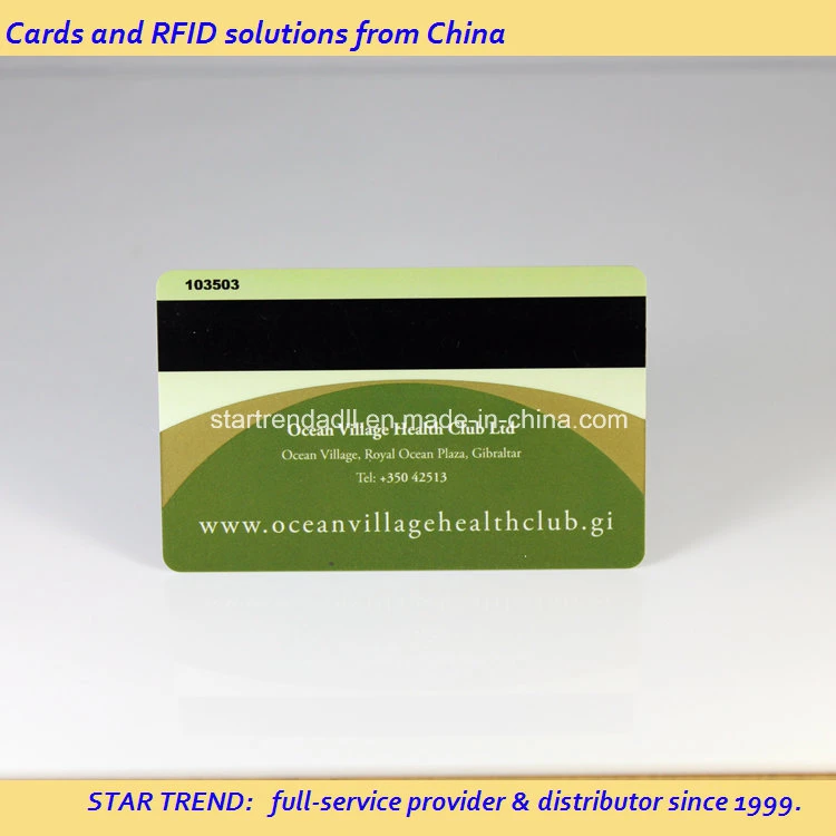 Plastic Magnetic Card Used as Membership Card, Access Control Card, Loyalty Card, Business Card, Gift Card, Hotel Key Card, (hico and loco)