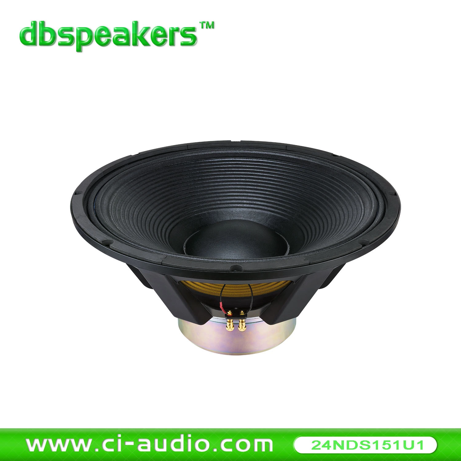 Powered Subwoofer 5000watt 24&prime; &prime; Neodymium Subwoofer Professional Speaker