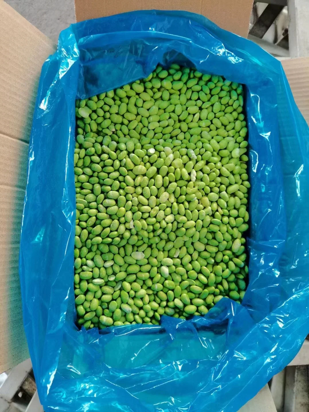 Factory Diect Grade a Frozen Green Soybean Leading Supplier