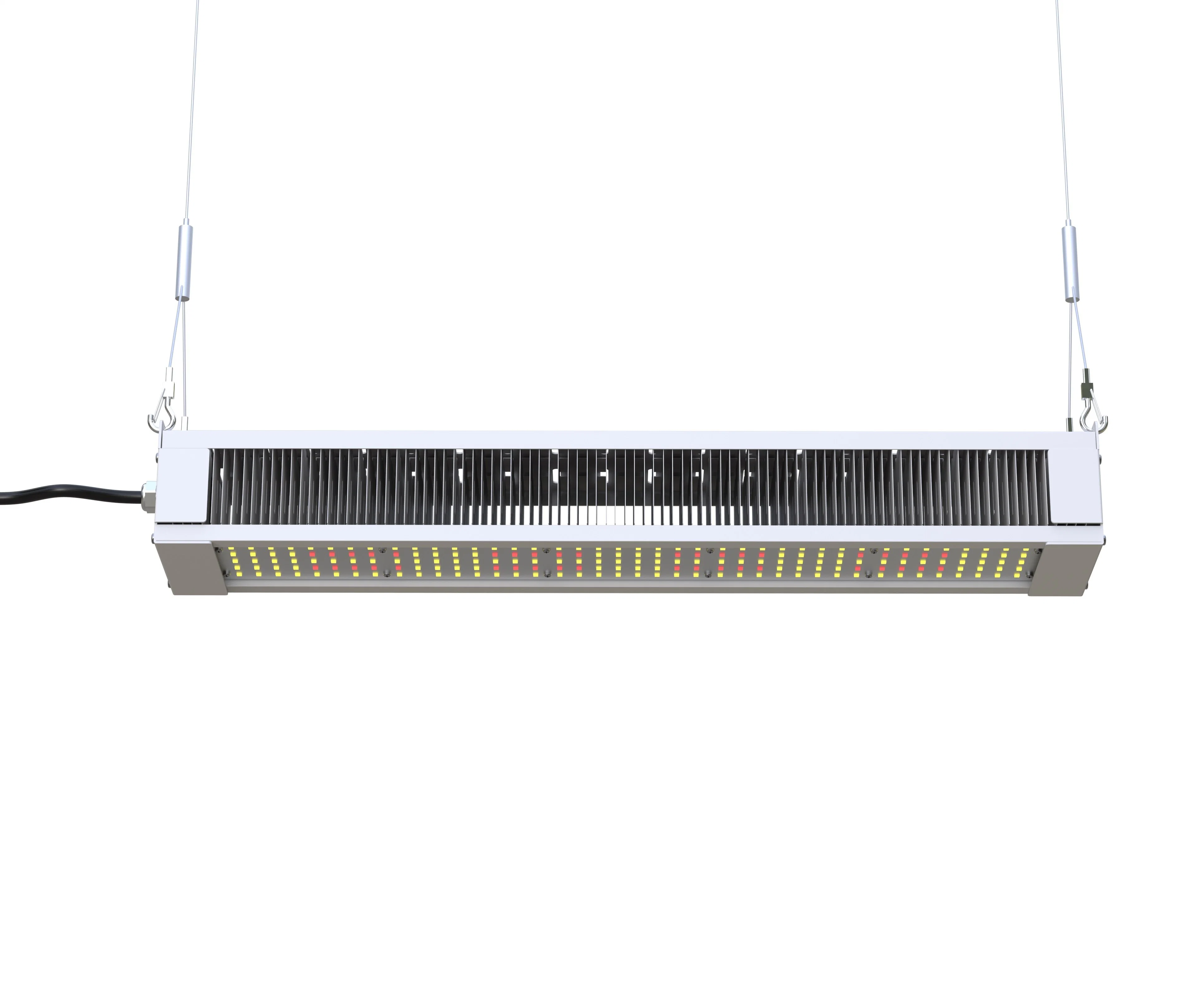 Ilummini LED Full Spectrum Grow Light 320W 640W for Flower and Seeds Vegetative Stage Germination