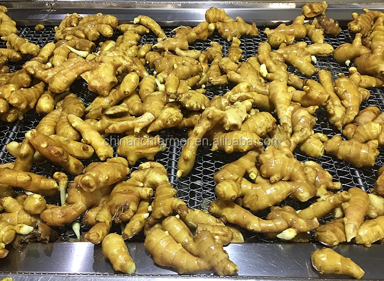 Good Quality Wholesale/Supplier Ginger Price Air Dry Ginger