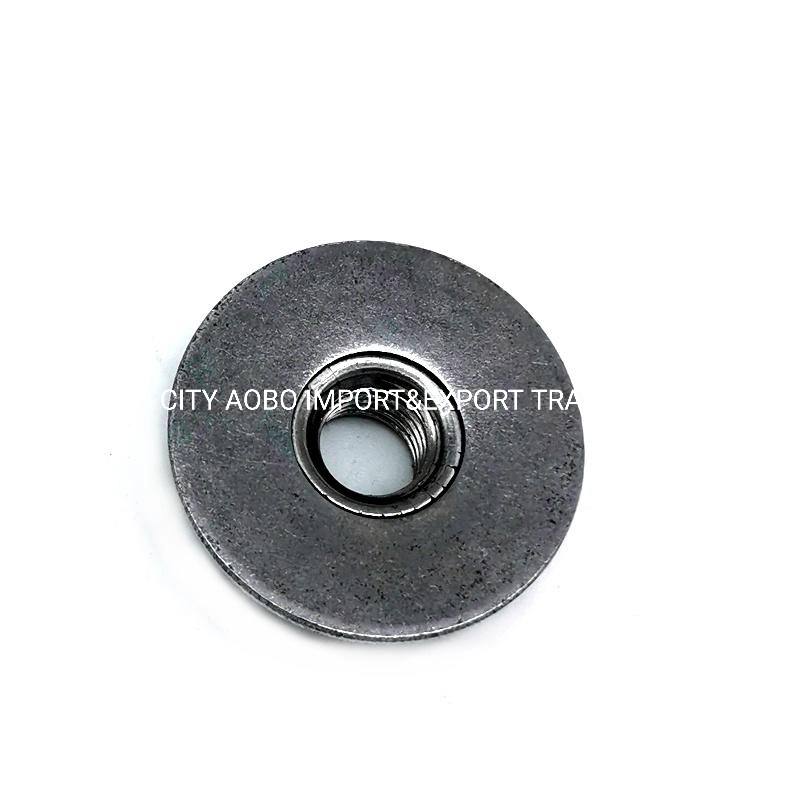 M10 Hex Weld Nuts Washer Face with Wholesale/Supplier Price