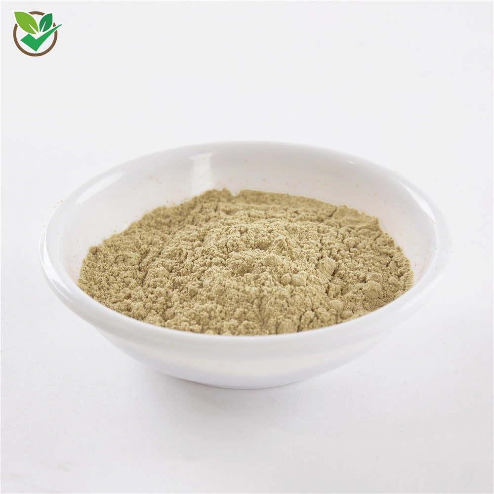 High quality/High cost performance Powder Siberian Ginseng Extract Powder