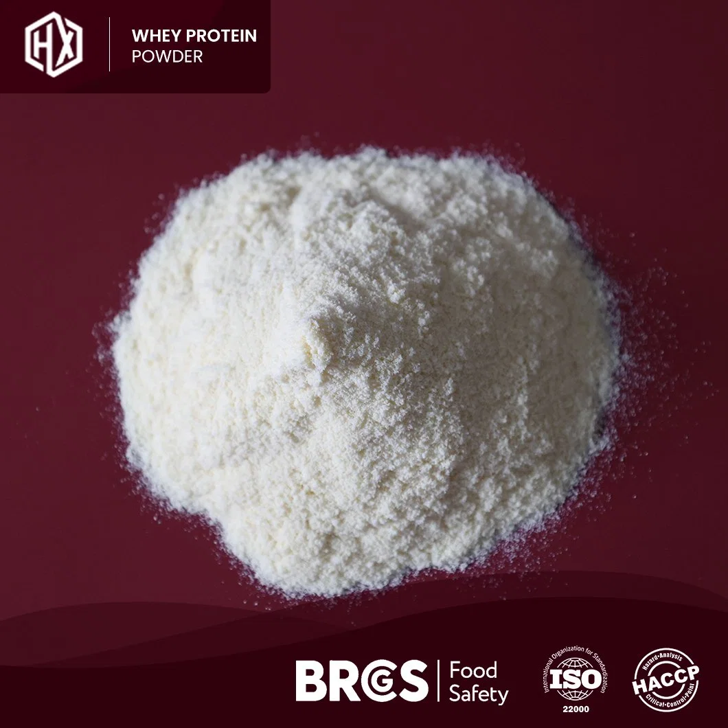 Haoxiang Imported Brand Low Calorie Protein Powder Milky White Powder Raw Whey Protein Factory Protein Concentrate Powder