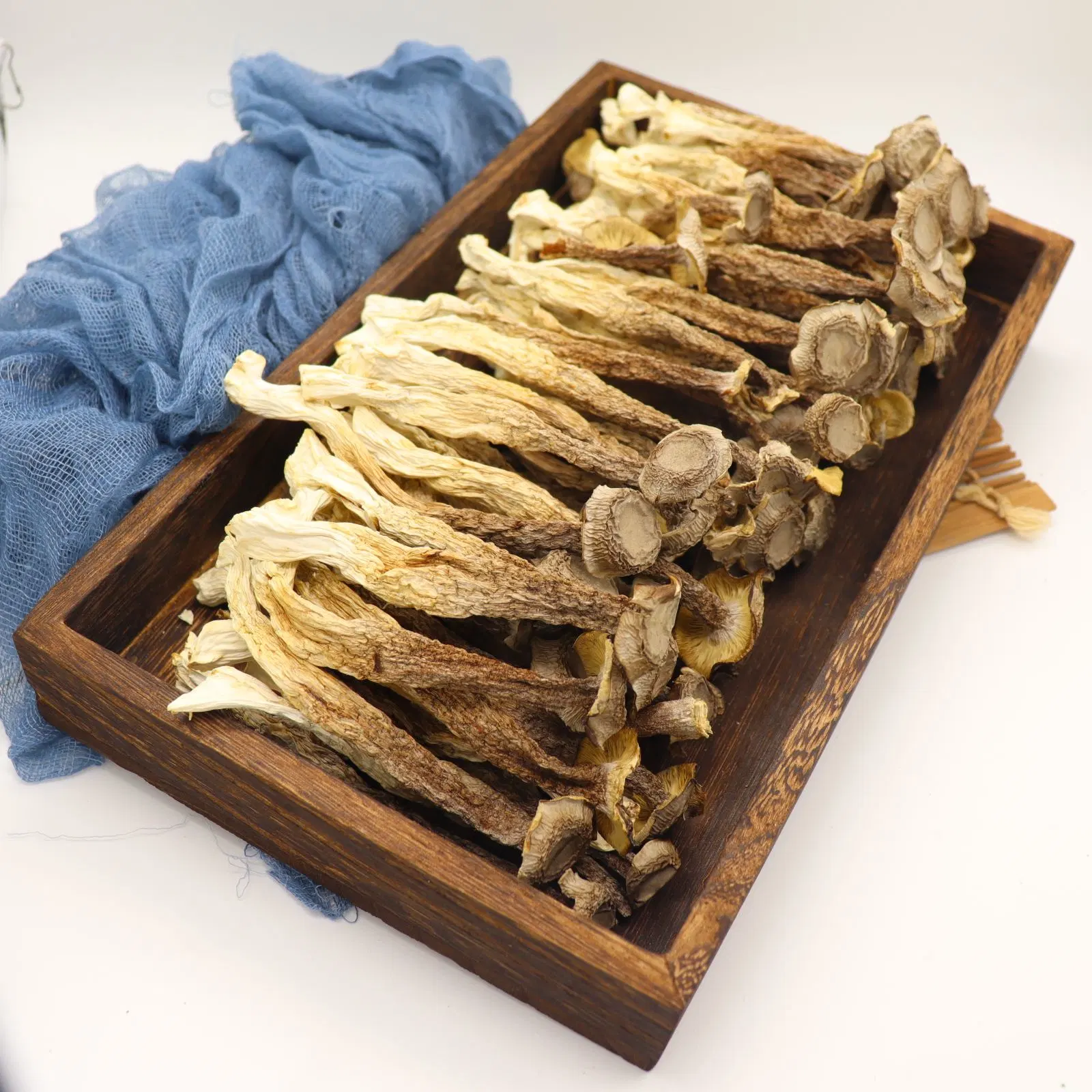 Chinese Hearbal Medicine Deer Antler Mushroom Good for Health Organic Tea