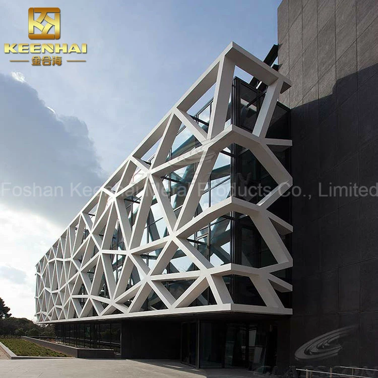 Overhang Decoration Hollow out Curtain Wall Facade Tiles (KH-CW-61)