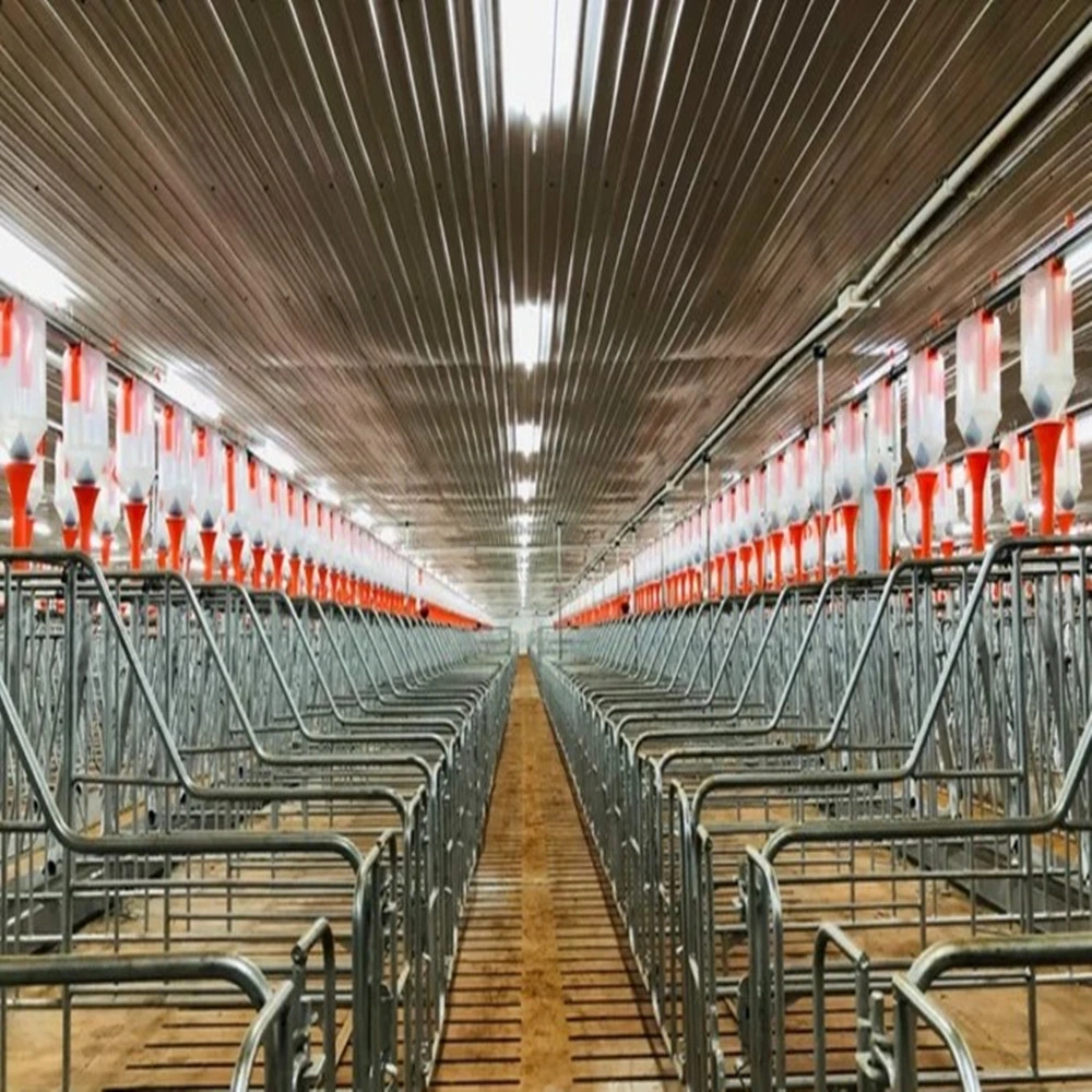 Cochon de gros de matériel agricole Caisse farrowing