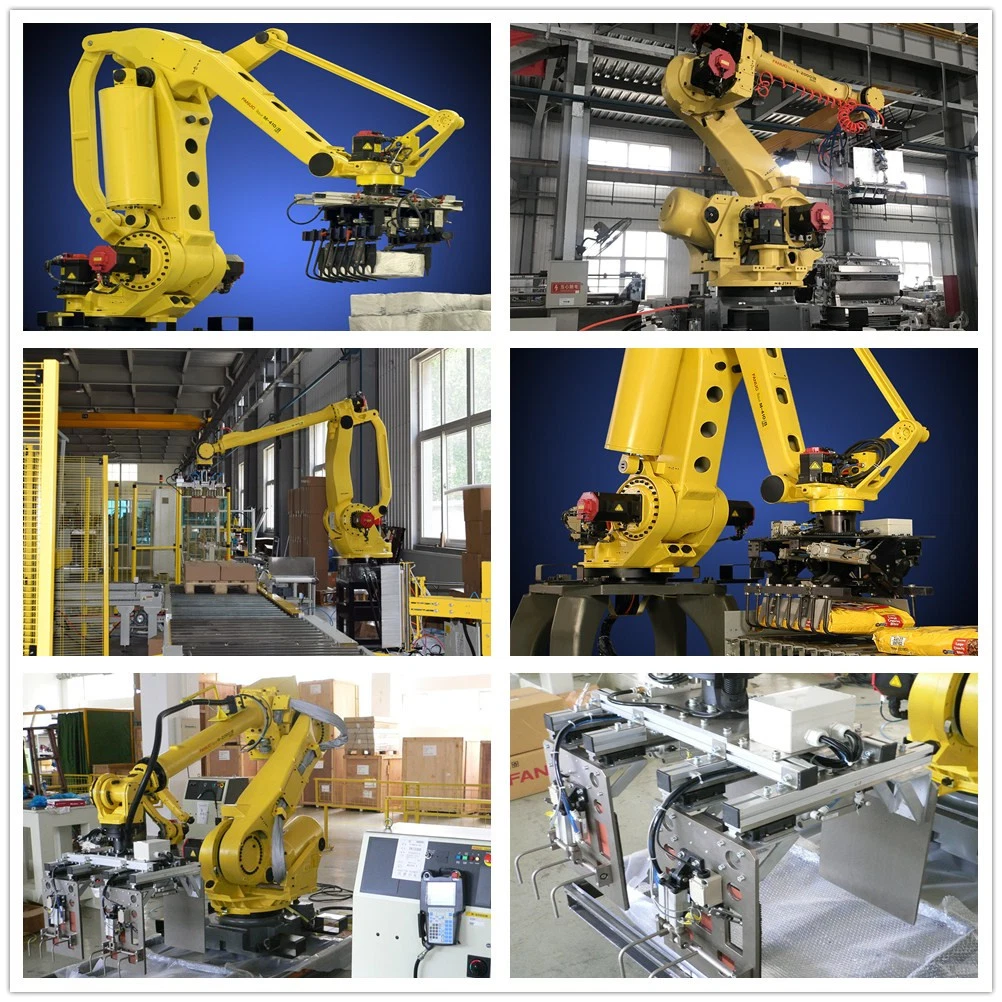 Automatic brazo robot de paletizado de 6 ejes para la industria de líneas múltiples