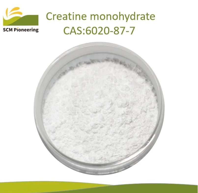 إضافات الدرجة الغذائية Creatine Monoهيدرات مسحوق CAS 6020-87-7