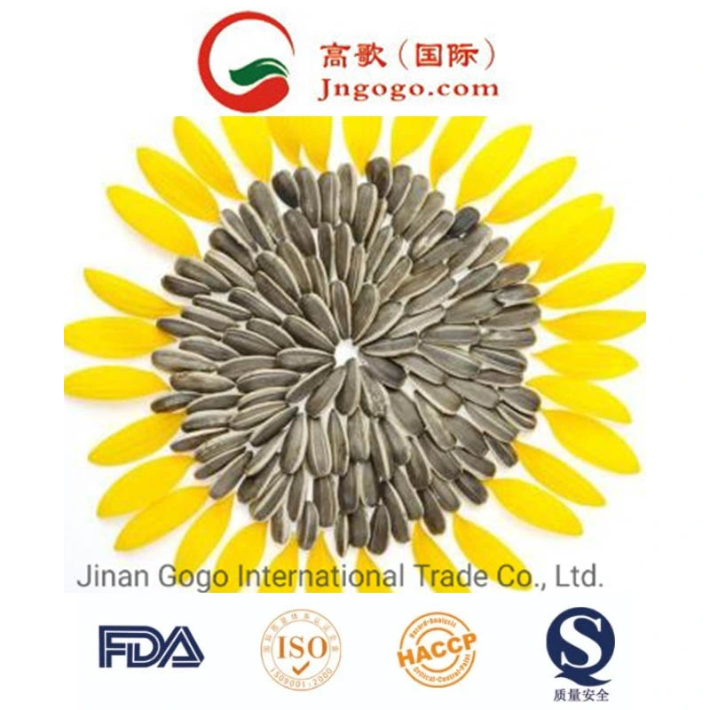 Big High quality/High cost performance Sunflower Seeds Grade 5009