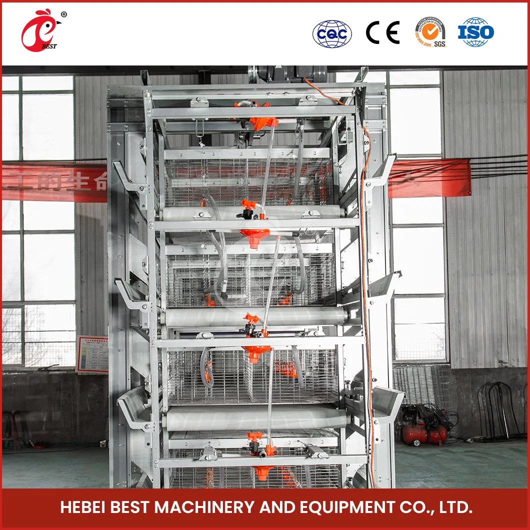 Bestchickencage H Frame Broiler Cages China a Type Layer Chicken Cage Suppliers High-Accuracy Broiler Rearing Cage