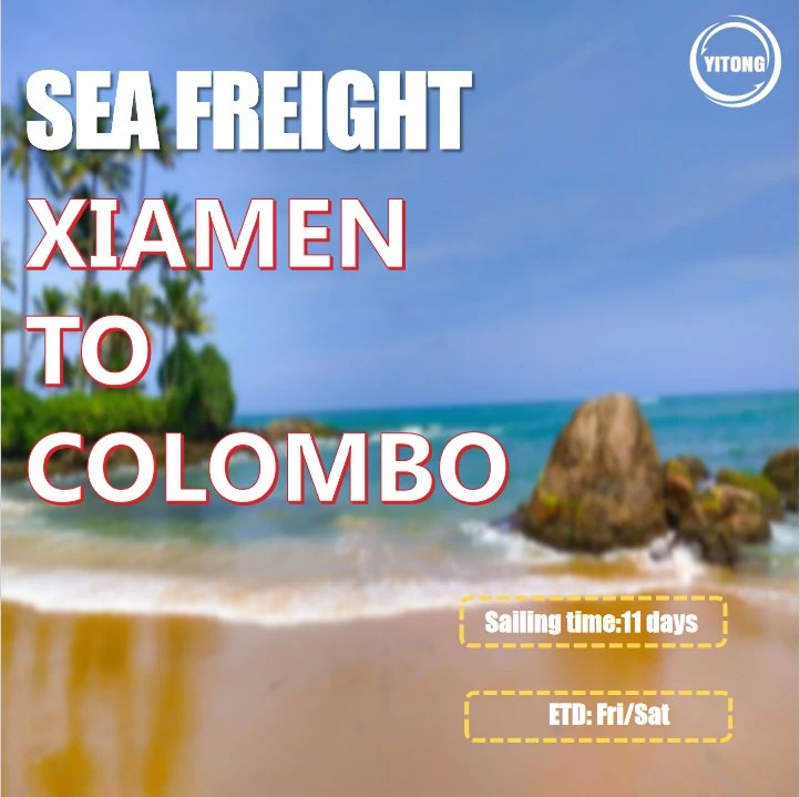 Cargo Shipping Price From Dalian to Colombo Sri Lanka