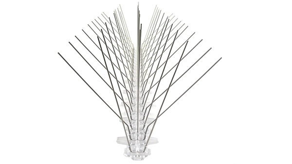 Factory Supply High quality/High cost performance Stainless Steel Anti Bird Spike