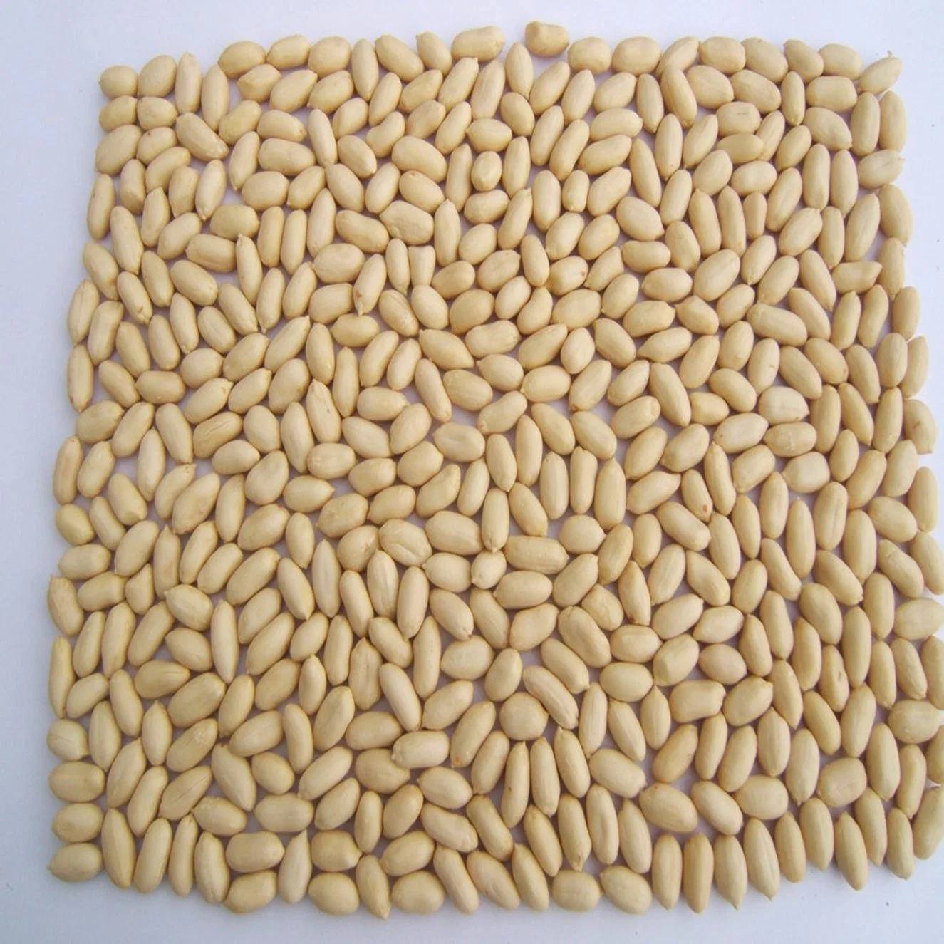 Blanched Peanut Groundnut Food Grade