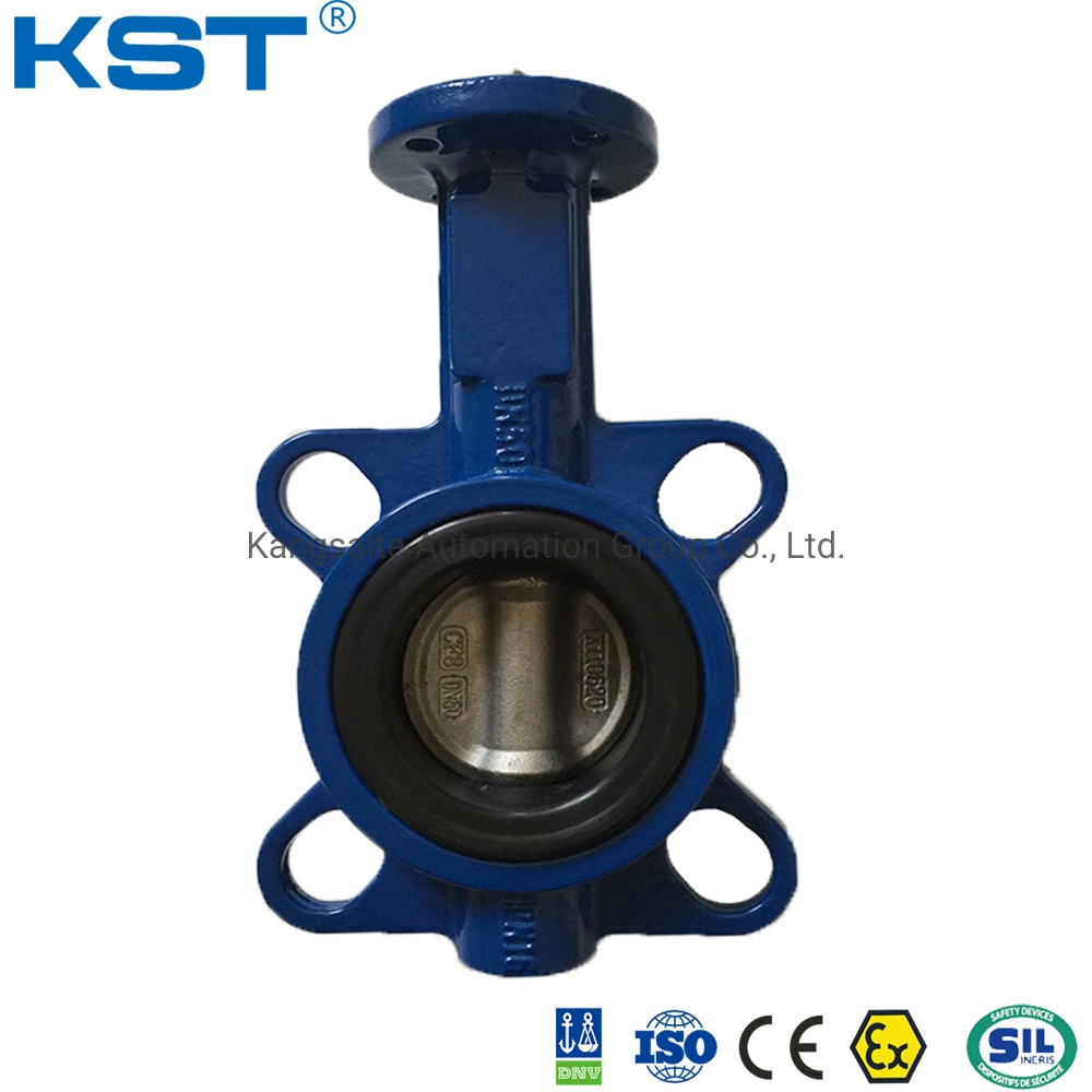 Gear Operate Pipe Line Butterfly Valve