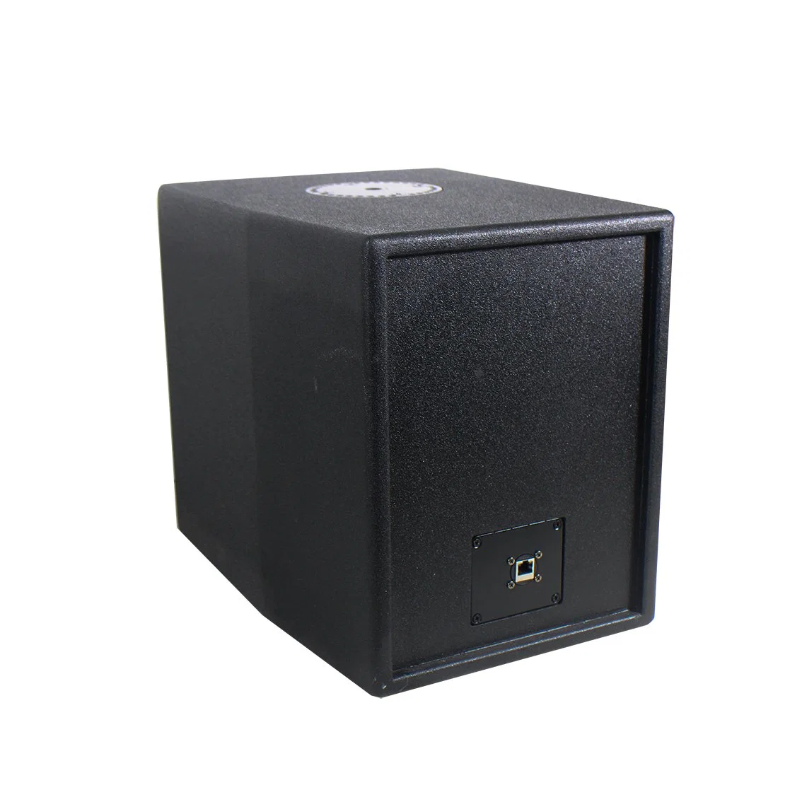 Professional Dante Audio System 8 Inch 120W 8ohm Poe Power Supply Subwoofer Speaker with DSP