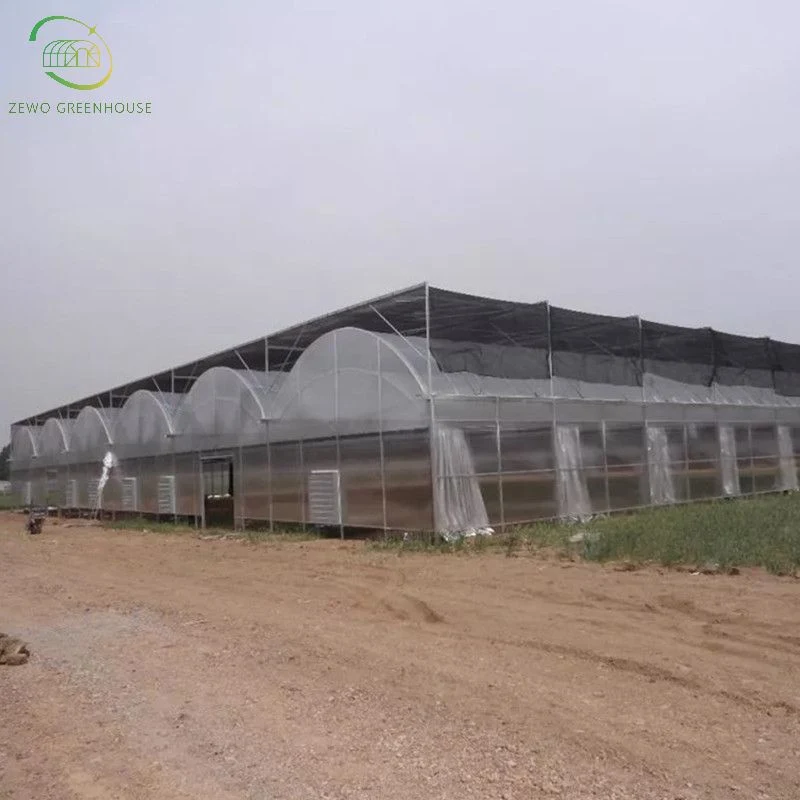 Agricultural Multi Span Tunnel Greenhouses with Hydroponic System and Automatic Irrigation System for Tomato/Cucumber/Lettuce/Pepper Planting