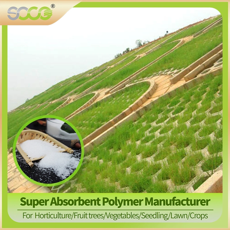 Biodegradable Hydrogel Powder Potassium Polyacrylate Super Absorbent Polymer Water Gel for Plant in Drought