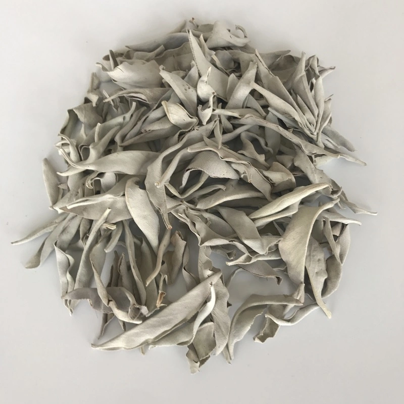 Shu Wei Cao Bulk Natural Products 100g Per Bag Dried White Sage Leaves for Incense