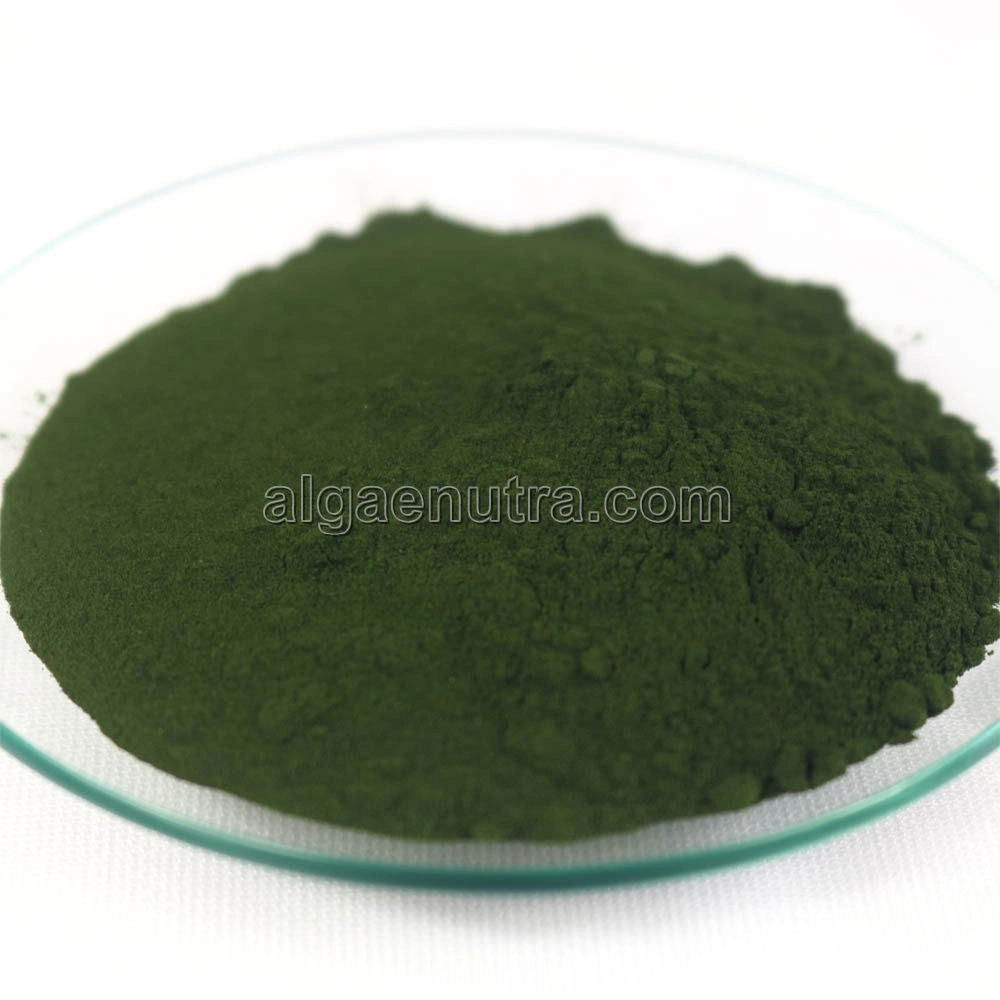 Food Grade complemento nutricional natural puro Extracto de alga verde Chlorella en polvo a granel