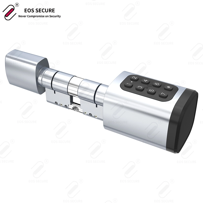 Combination Lock System Euro Fingerprint Waterproof Electronic Smart Mortise Lock Door Lock Cylinder with Computer Key