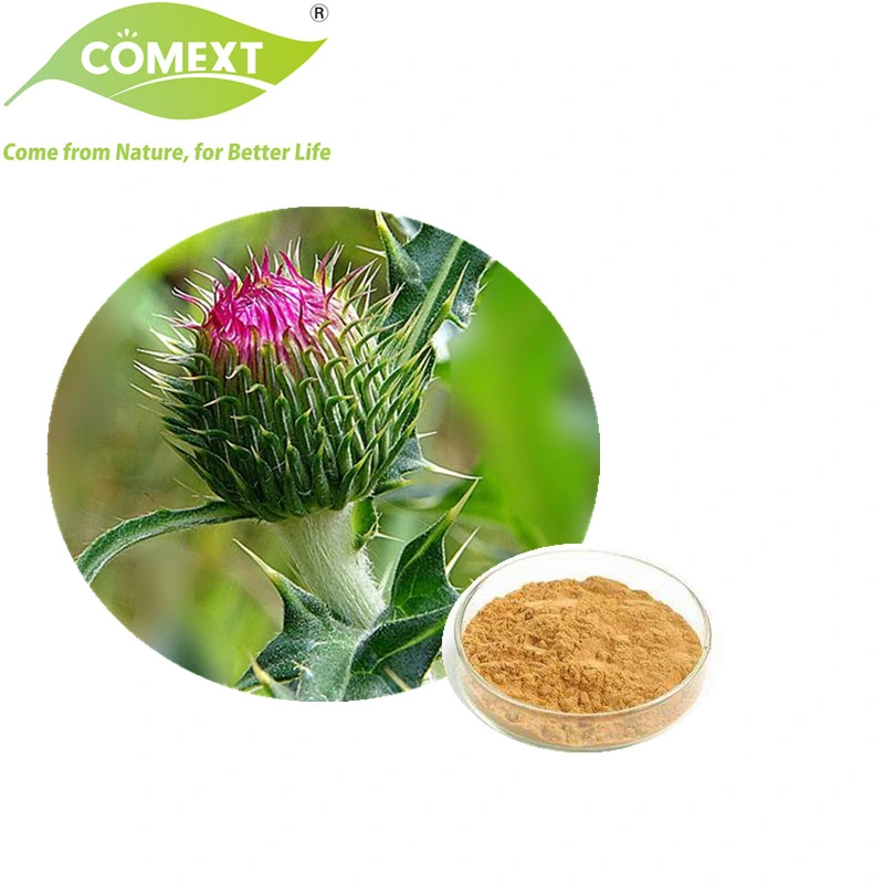 Comext Factory 100% Natural Health Medicine Silymarin 80% Protect Liver Kosher Halal Milk Thistle Extract