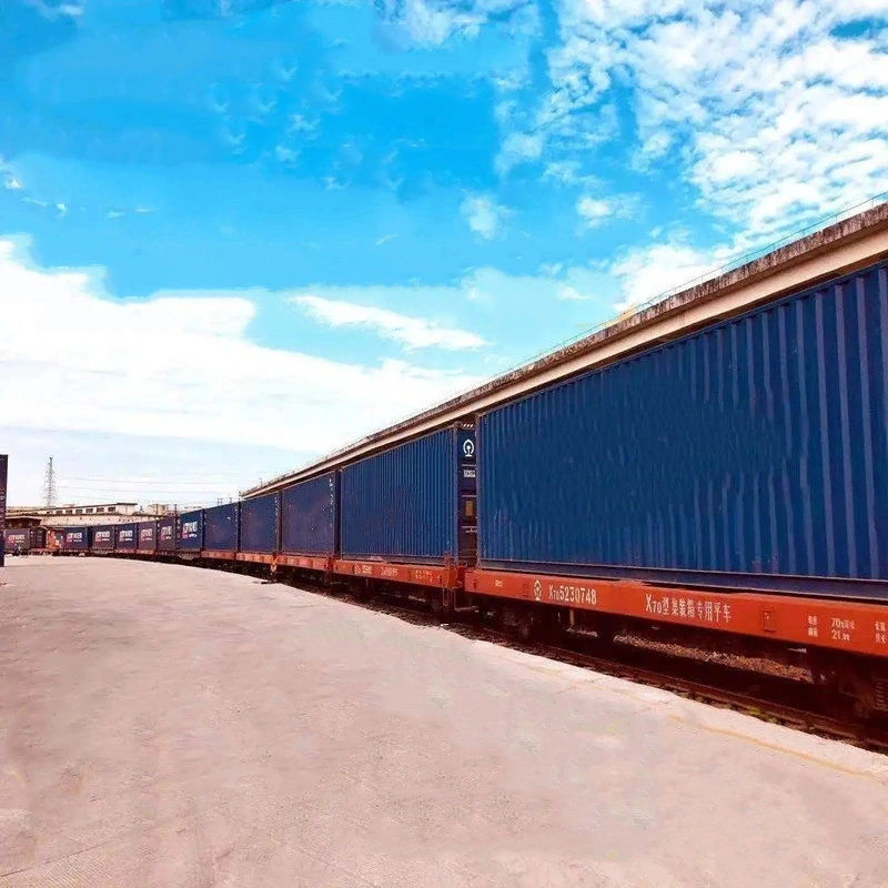 Professional Provides Russian Railway Transportation with Good Shipping Freight