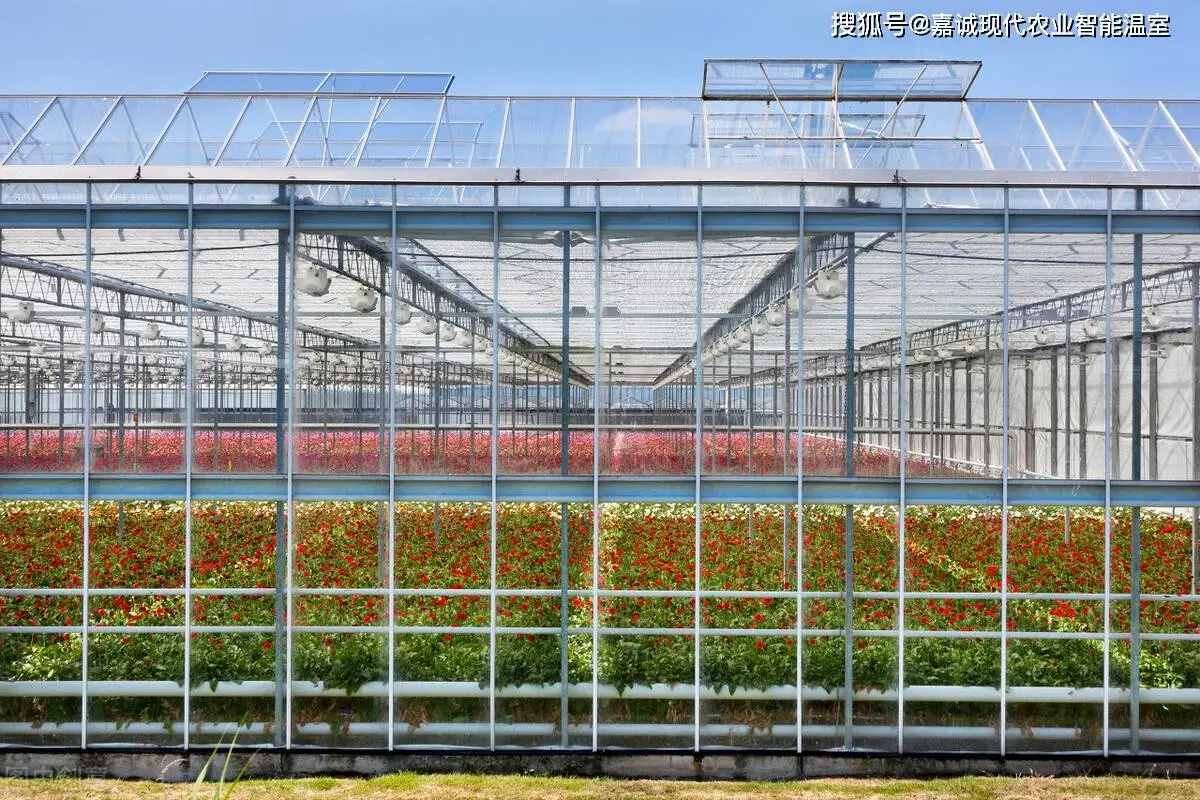 Commercial Glass Greenhouse with Climate Control System