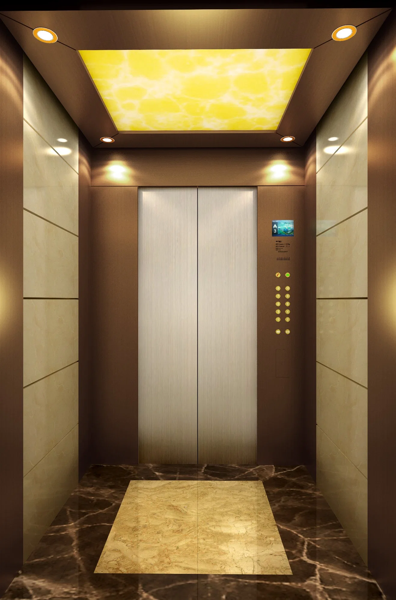 Syney Favorable Price 1000kg 1.75m/S Home Passenger Elevator for Clubhouse