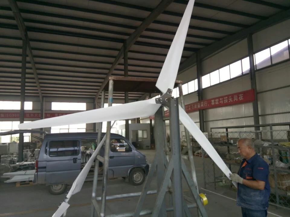 Coreless générateur à aimant permanent pour l'Éolienne génératrice éolienne de 2 kw pour la maison d'utilisation du système de petit système de vent pour moulin à vent