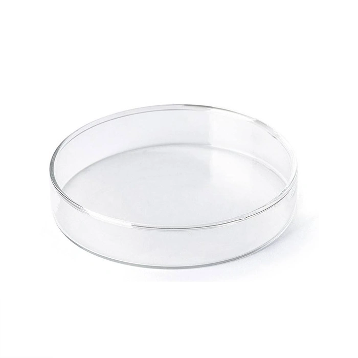 New Arrival Economical Transparent Disposable Petri Dish