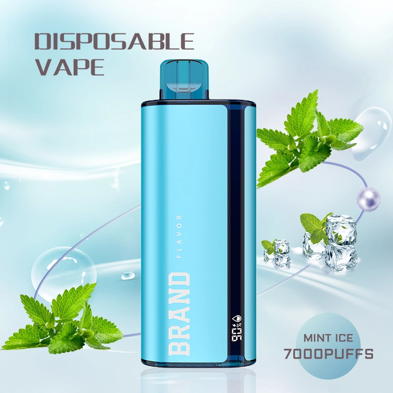 ميش كويل 7000 أطواق مافحة قلم سجائر إلكترونيّة يمكن التخلص منها قلم لوح Vapor بشاشة LED لجهاز Flavours سعة 15 مل لتيار هواء قابل لإعادة الشحن