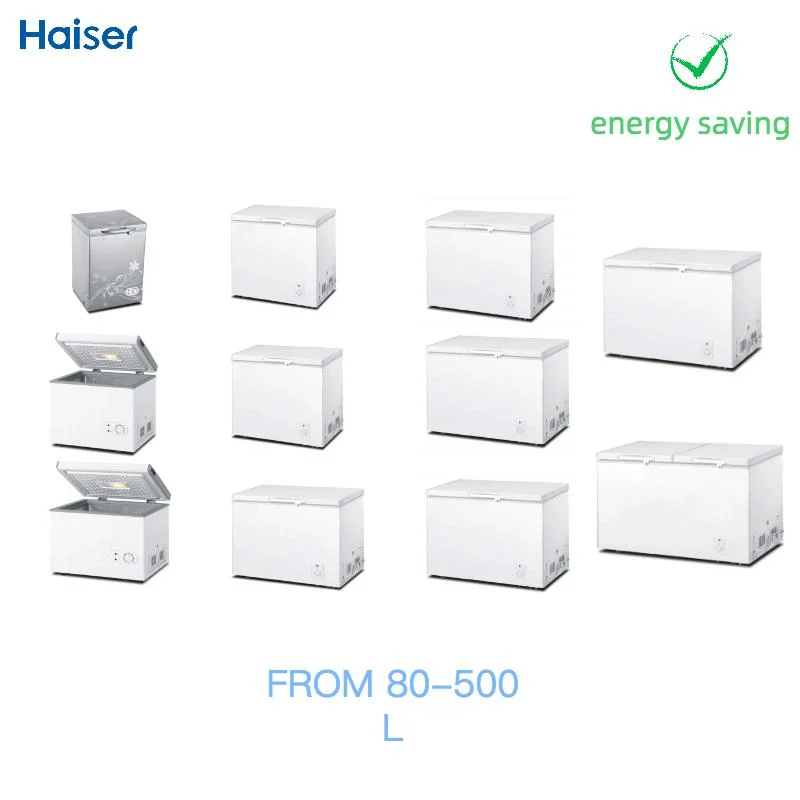 OEM Chest Freezer From 80-500L Energy Saving Wholesale/Supplier Prices