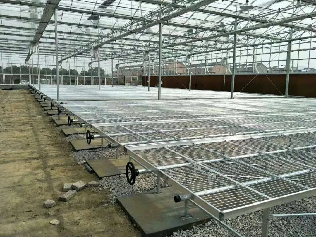 Seedbed Film/Glass/PC Sheet Cover with Hydroponic Pipe Irrigation System