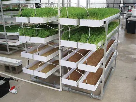 صينيات علف بلاستيكية عالية الجودة من Hydroponic لنمو الثوم