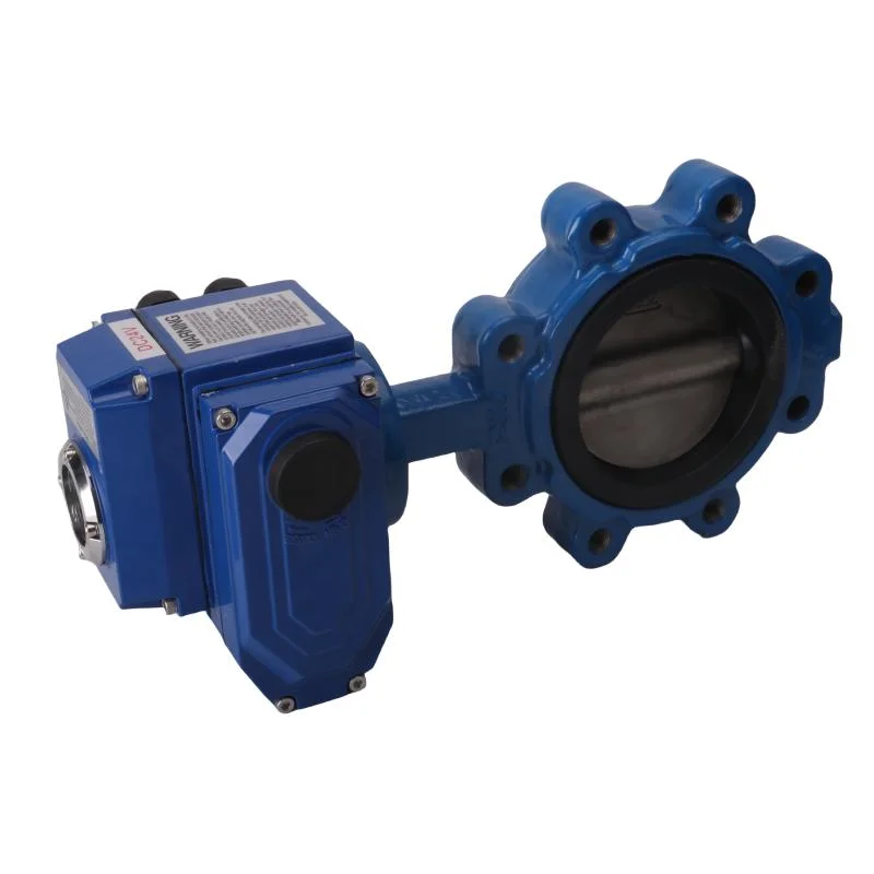 Electric Actuated Lug Type Ductile Iron Butterfly Valve