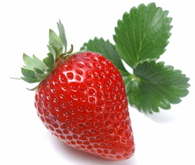 Freeze Dried Strawberry Powder for Functional Food and Beverage Ingredients