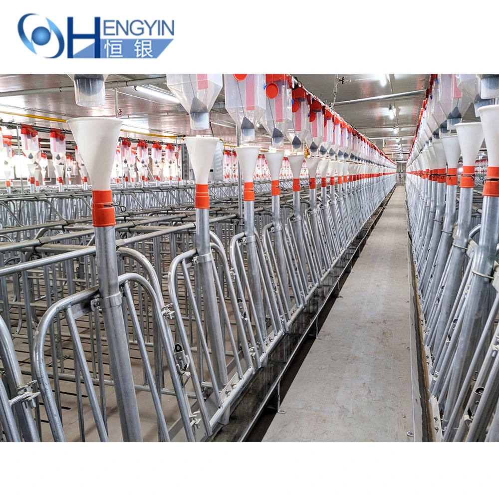 Eighty Percent Pig Farm Use Galvanized Pig Cages