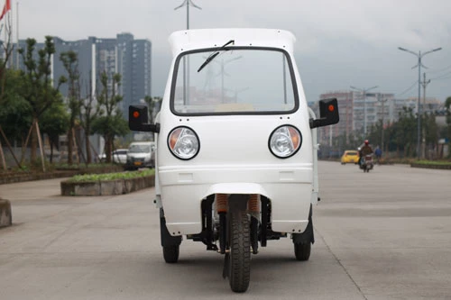 Cargo Loader Passenger Tricycle Keke Rickshaw New Chopper Motorcycle Trike