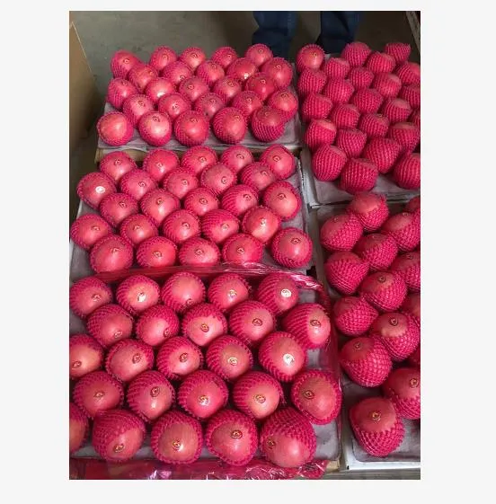 Yantai Red FUJI Apple Blush