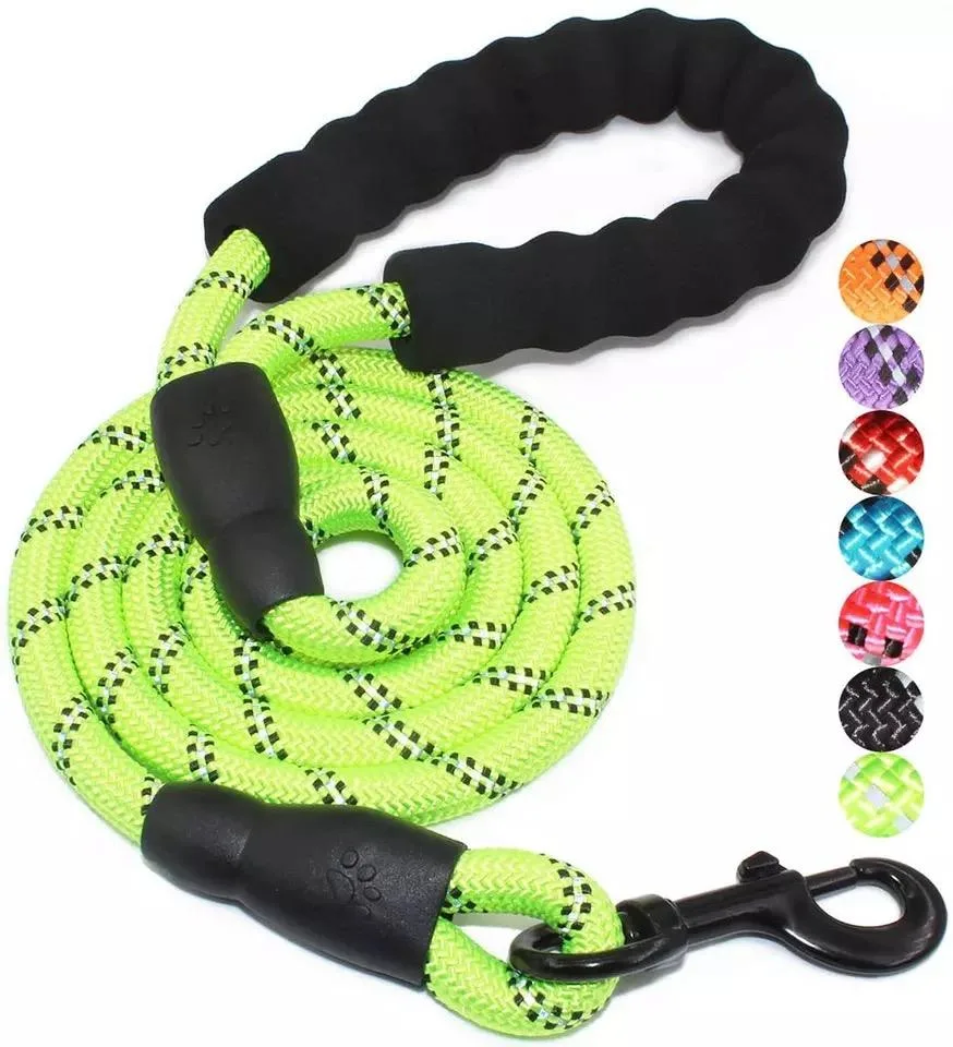 Pet Products Supply Dog Collars New Custom 2023 Reflective Pet Collar & Leash