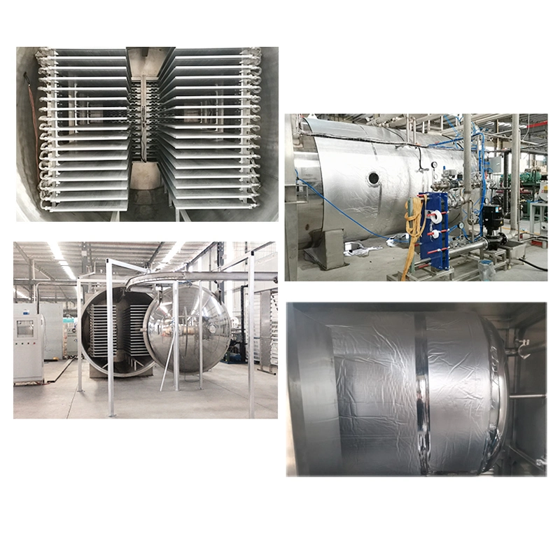 CE Food Lyophilizer Fruit and Vegetable Vacuum Freeze Drying Machine