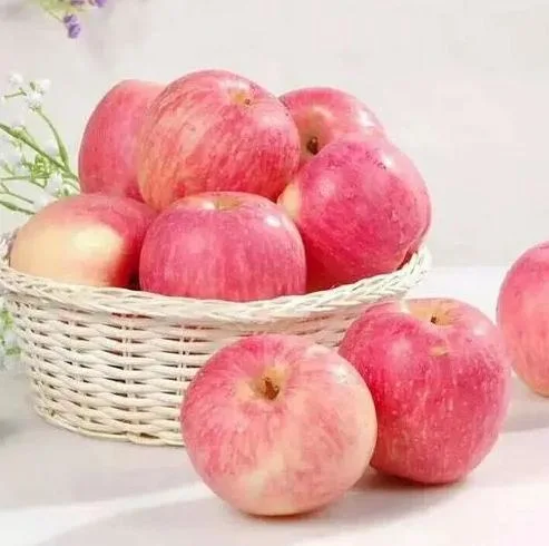 Fresh Apples China FUJI Apples From Yantai